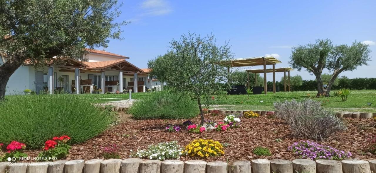 La Pace - Pool & Relax Marina di Grosseto