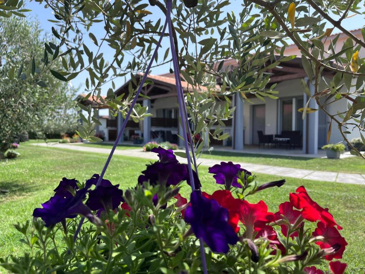 La Pace - Pool & Relax Aparthotel Marina di Grosseto