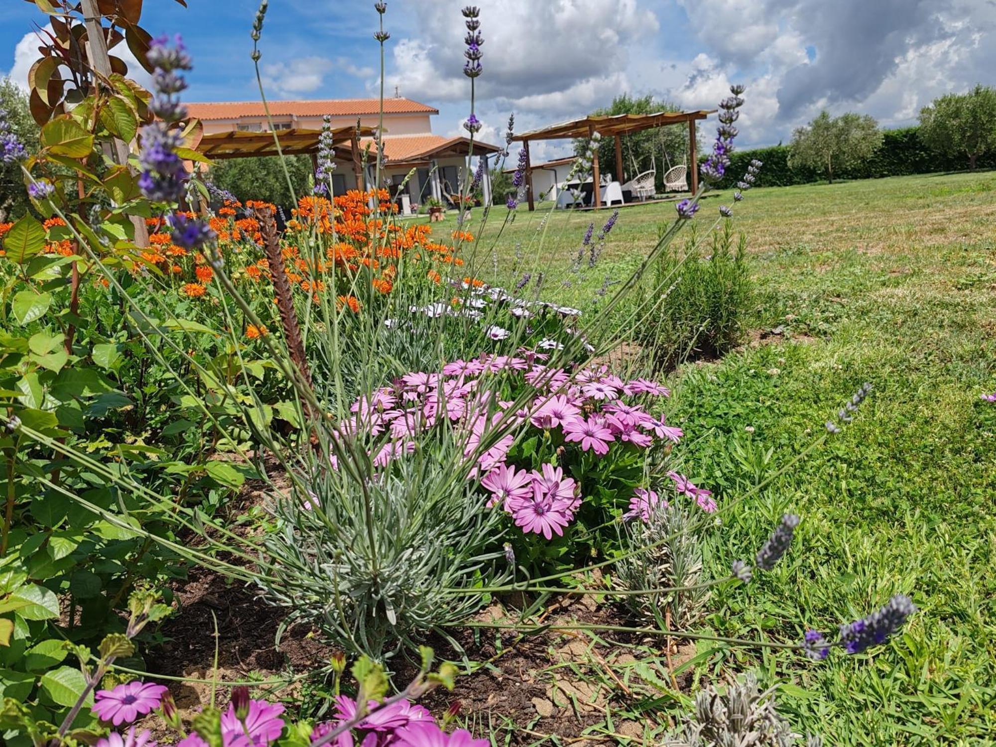 Aparthotel La Pace - Pool & Relax Marina di Grosseto