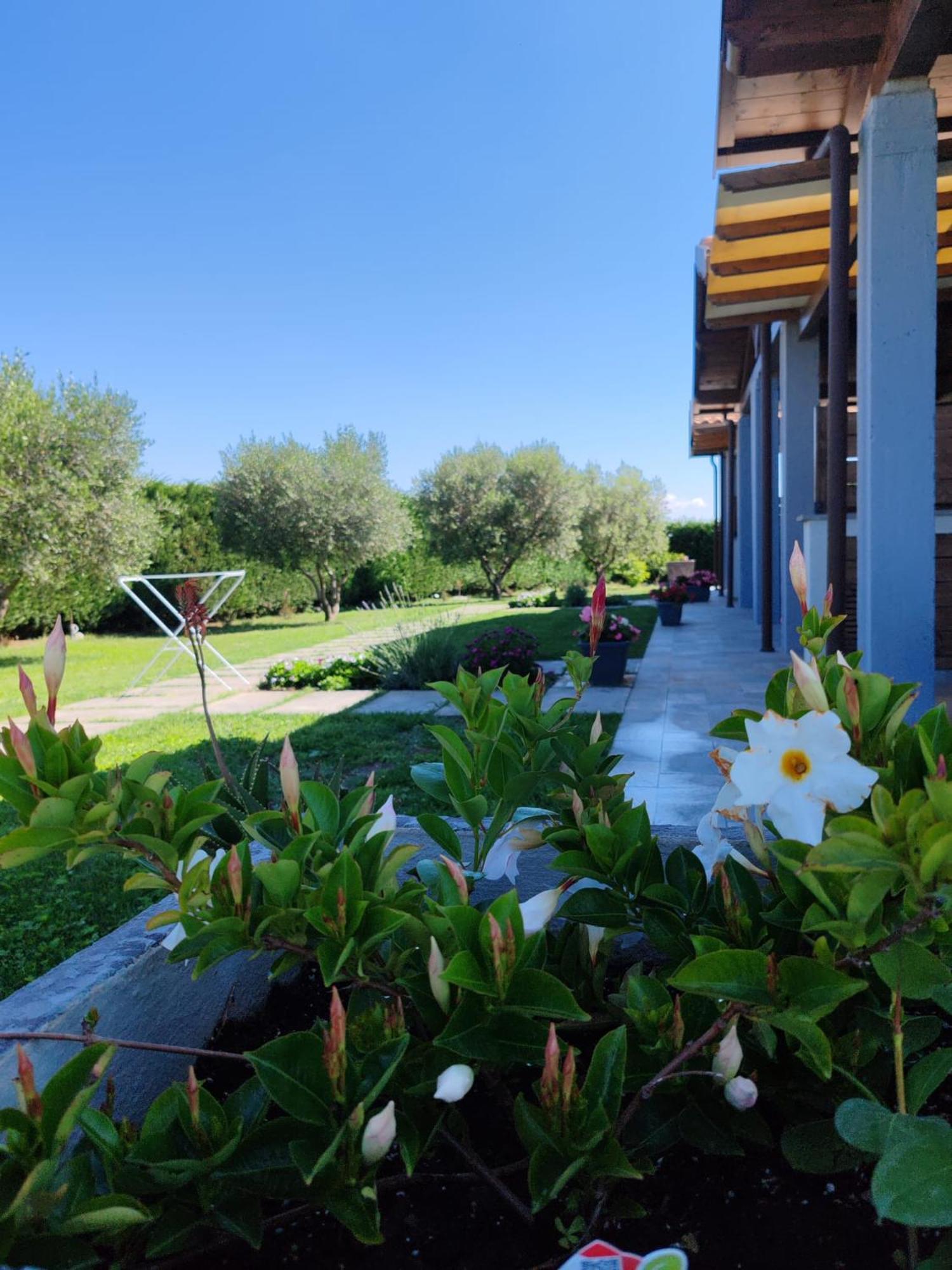 Aparthotel La Pace - Pool & Relax *
