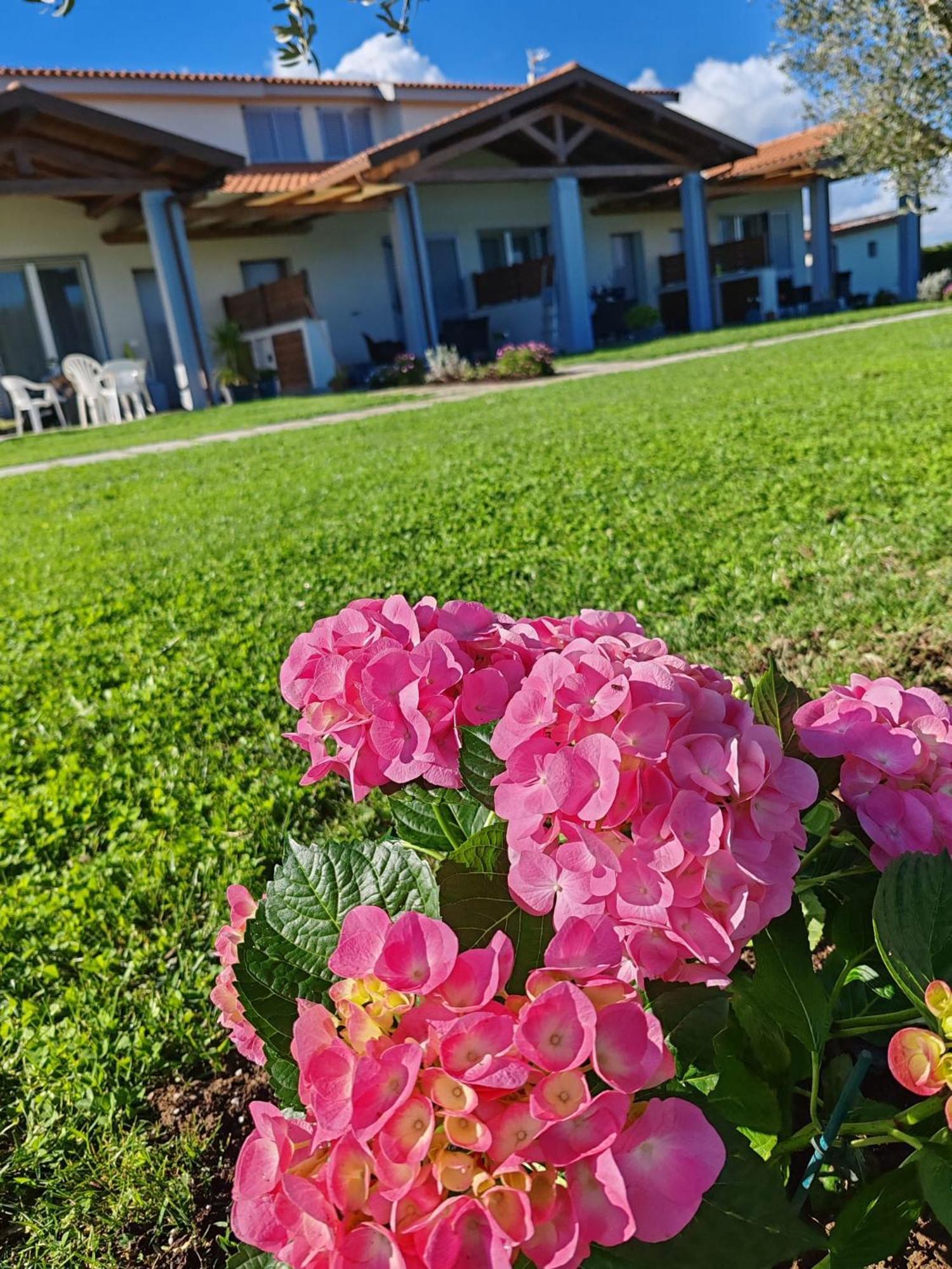 La Pace - Pool & Relax Apart-hotel