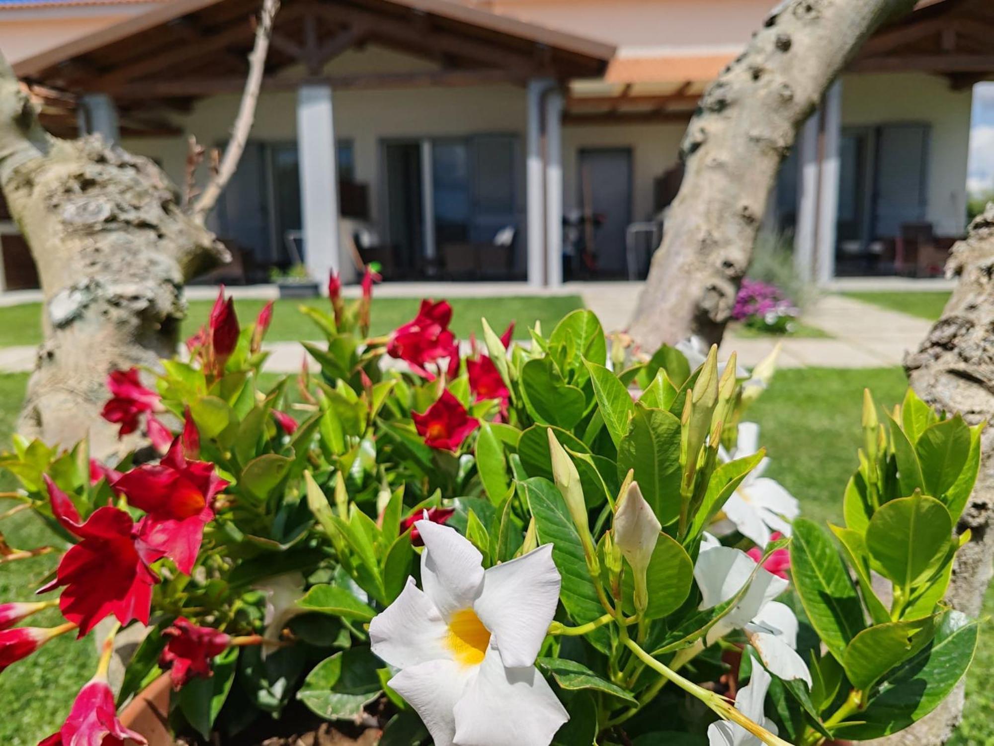 La Pace - Pool & Relax * Marina di Grosseto