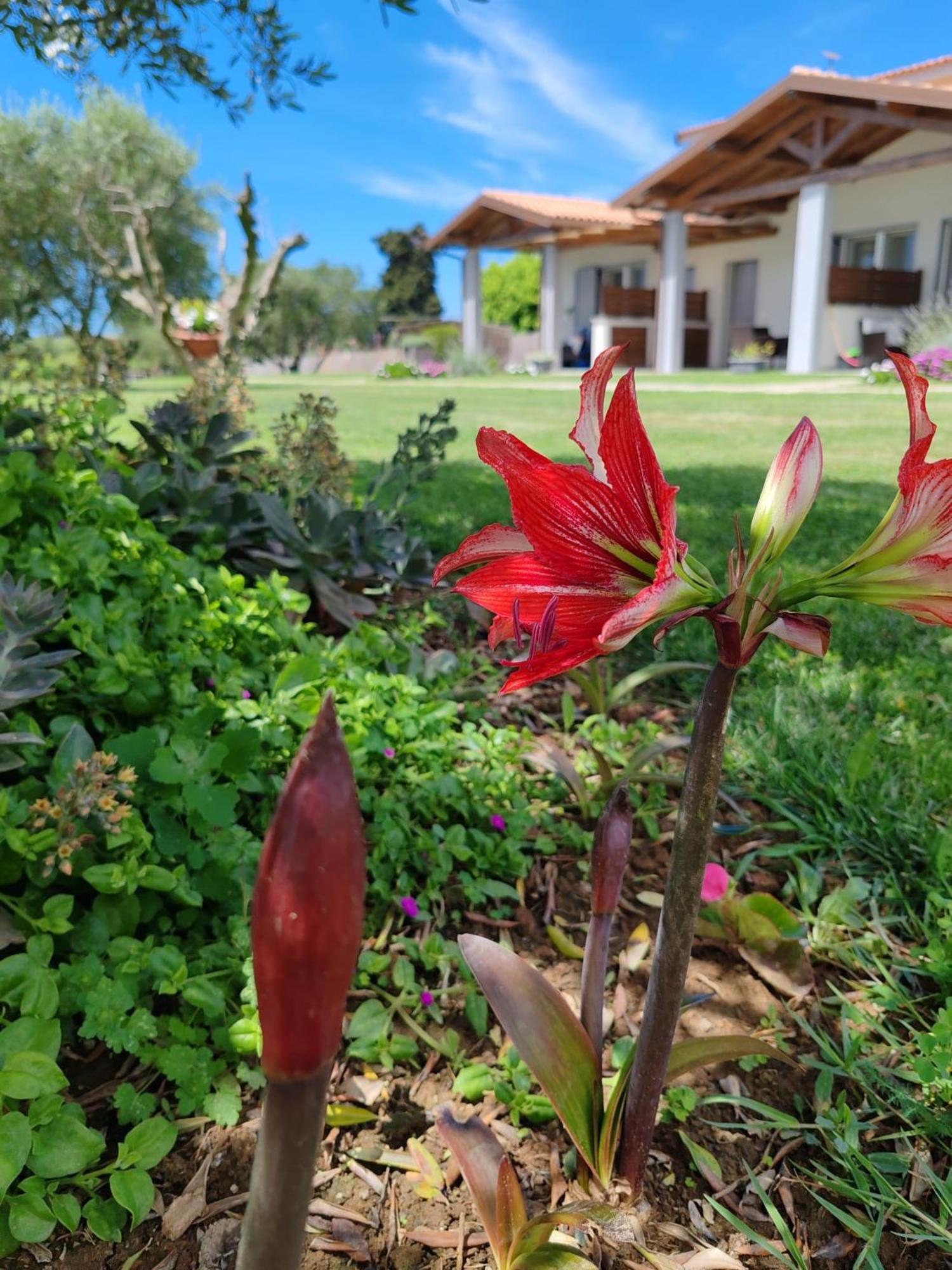 La Pace - Pool & Relax Apart-hotel *